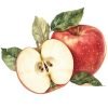 Shizuka Apple