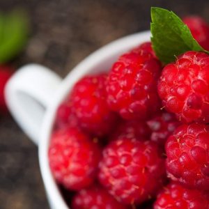 Caroline Red Raspberry