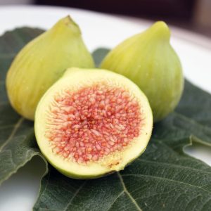Desert King Fig