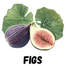 Figs for Zone 9
