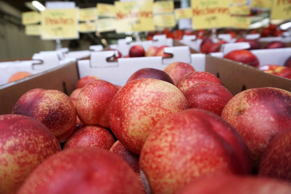 Nectarines in stores Nectarines in stores