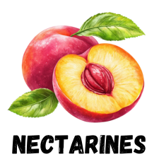 Nectarines for Zone 9