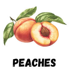 Peaches for Zone 9