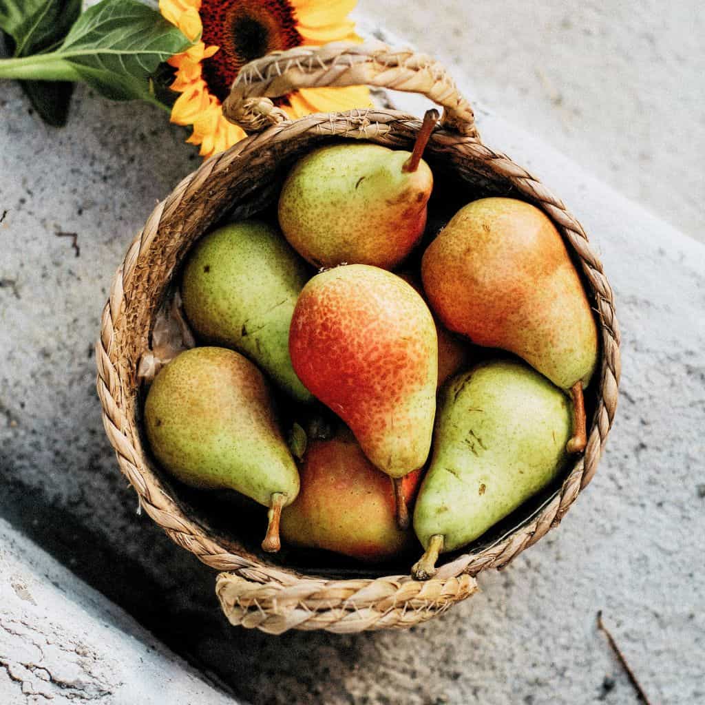 Pears in basket Freshly picked pears in a basket