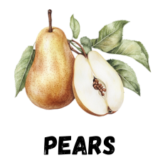 Pears for Zone 9