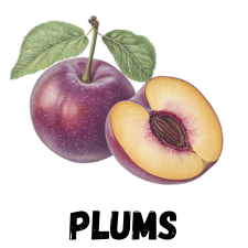 Plums for Zone 9