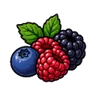 ffn guide icon berry