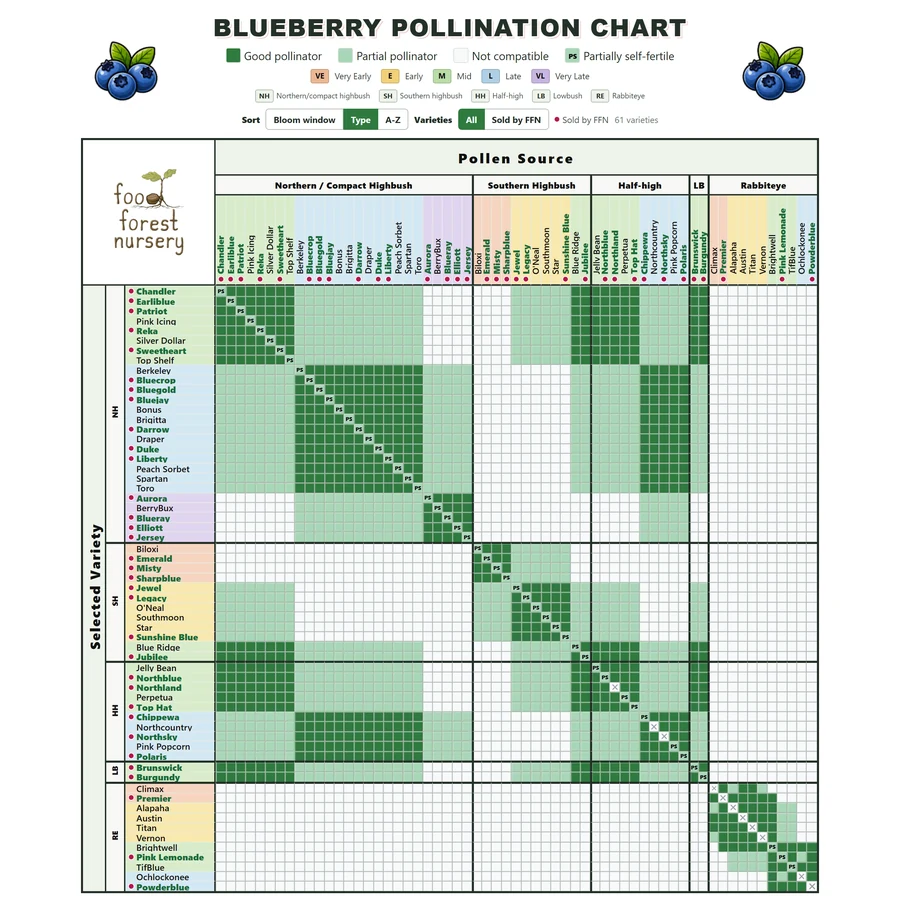 home chart blueberry square Blueberry pollination chart comparing 61 blueberry varieties