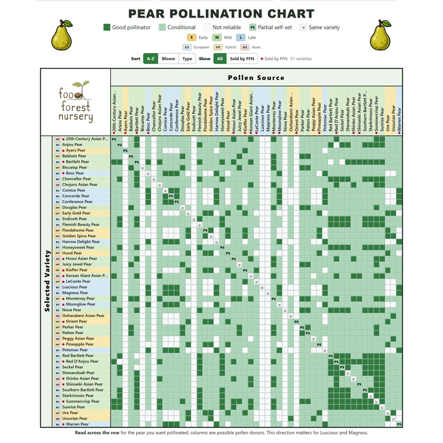 home chart pear square Pear pollination chart comparing 51 pear varieties
