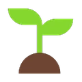 home vp spring